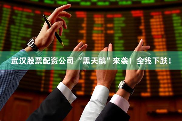 武汉股票配资公司 “黑天鹅”来袭!全线下跌!