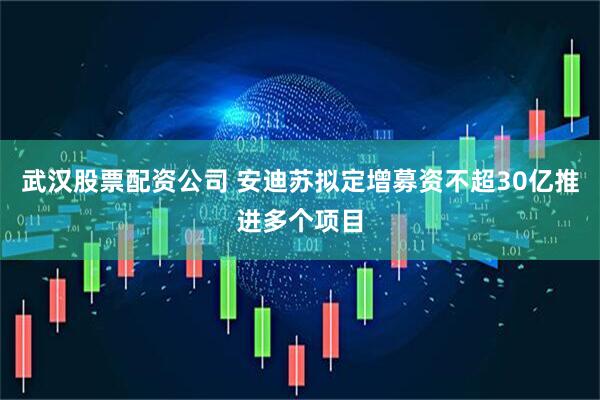 武汉股票配资公司 安迪苏拟定增募资不超30亿推进多个项目