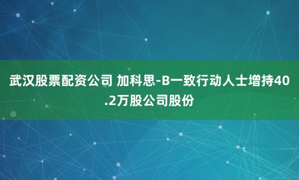 武汉股票配资公司 加科思-B一致行动人士增持40.2万股公司股份