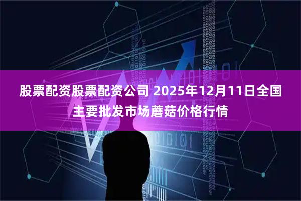 股票配资股票配资公司 2025年12月11日全国主要批发市场蘑菇价格行情