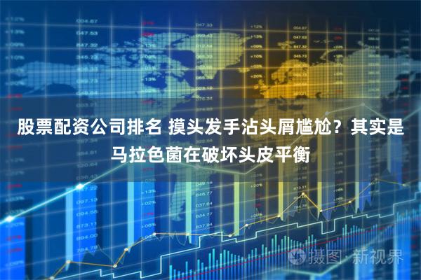 股票配资公司排名 摸头发手沾头屑尴尬？其实是马拉色菌在破坏头皮平衡