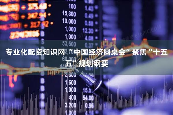 专业化配资知识网 “中国经济圆桌会”聚焦“十五五”规划纲要