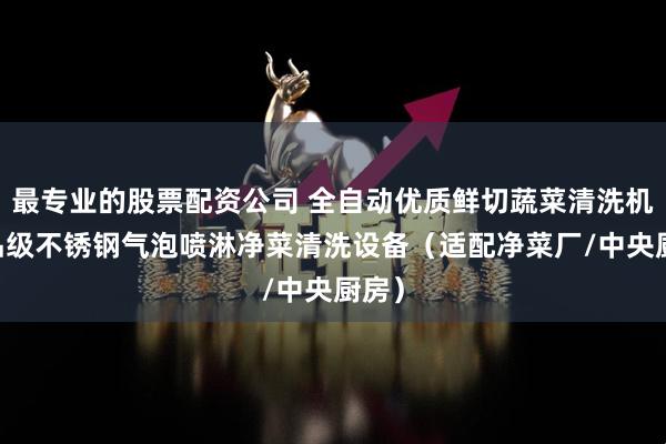 最专业的股票配资公司 全自动优质鲜切蔬菜清洗机 食品级不锈钢气泡喷淋净菜清洗设备（适配净菜厂/中央厨房）